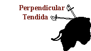Perpendicular / Tendida